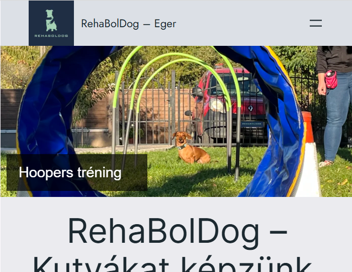 Rehaboldog.hu homepage